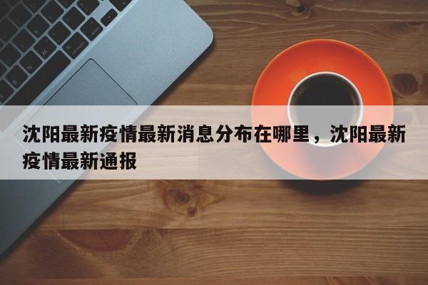 沈阳最新疫情最新消息分布在哪里，沈阳最新疫情最新通报
