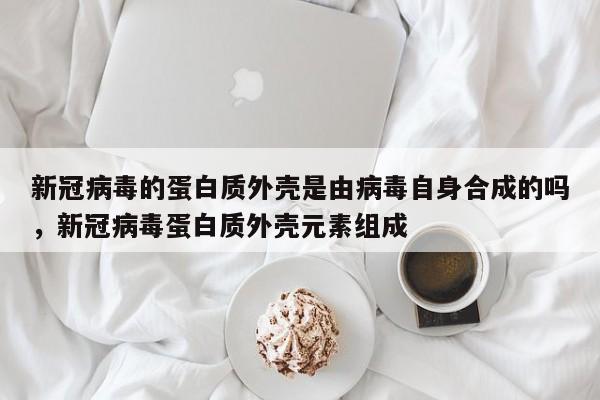 新冠病毒的蛋白质外壳是由病毒自身合成的吗，新冠病毒蛋白质外壳元素组成