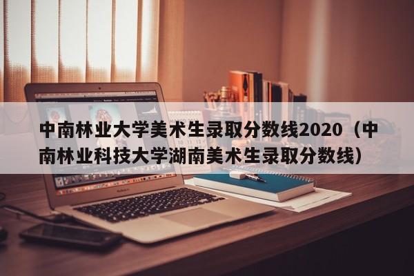 中南林业大学美术生录取分数线2020（中南林业科技大学湖南美术生录取分数线）