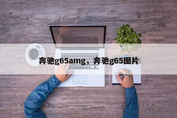 奔驰g65amg，奔驰g65图片