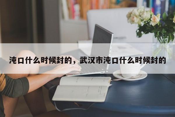 沌口什么时候封的，武汉市沌口什么时候封的